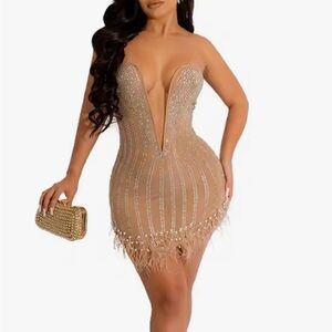 Sparkling Tan Feathered Dress
